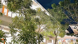 A courtyard with a white building, surrounded by various trees and plants. - Maluk Stay (Sumbawa Barat)