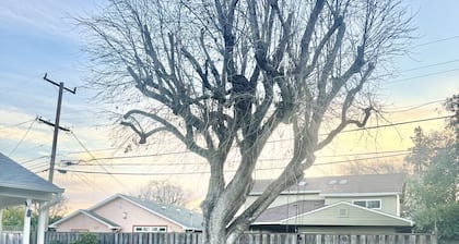 7 minutes away from SFOïŒExperience a freshly remodeled modern tranquil residence