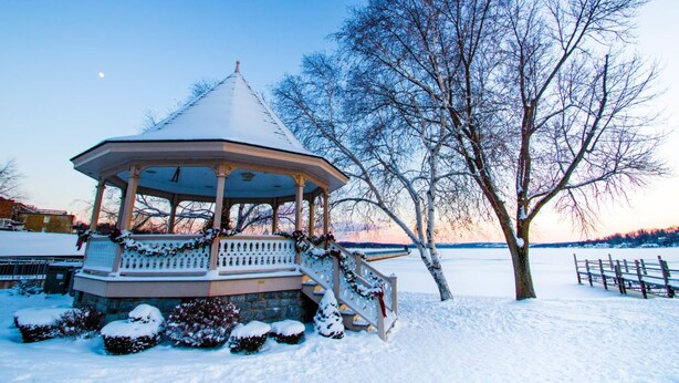 A gazebo with a snow-covered roof, surrounded by snow-laden bushes and a tree.