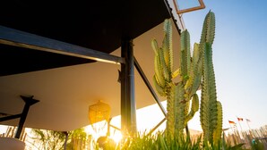 A sunlit outdoor area with a cactus, a lounge chair, and a hanging light fixture.