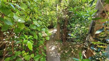 Parco della struttura