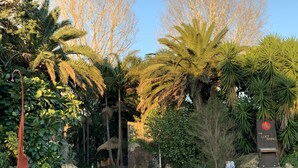 A pathway leading to a building with a sign reading "The Lost Spring." - Waterfront fabulous view, spacious studio, heated pool & 10 mins walk into town. (Whitianga)