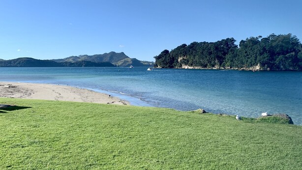 A beach with clear blue water, a grassy foreground, and a forested island in the distance. - Waterfront fabulous view, spacious studio, heated pool & 10 mins walk into town. (Whitianga)
