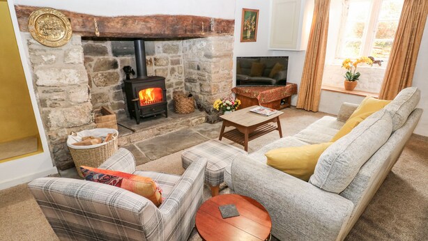 A cozy living room with a stone fireplace, a sofa, a coffee table, and a television. - Kenfig Farm (Pyle)