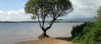 Kenfig Farm