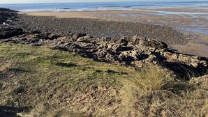 A rocky beach with a grassy foreground and a view of the ocean. - Kenfig Farm (Pyle)