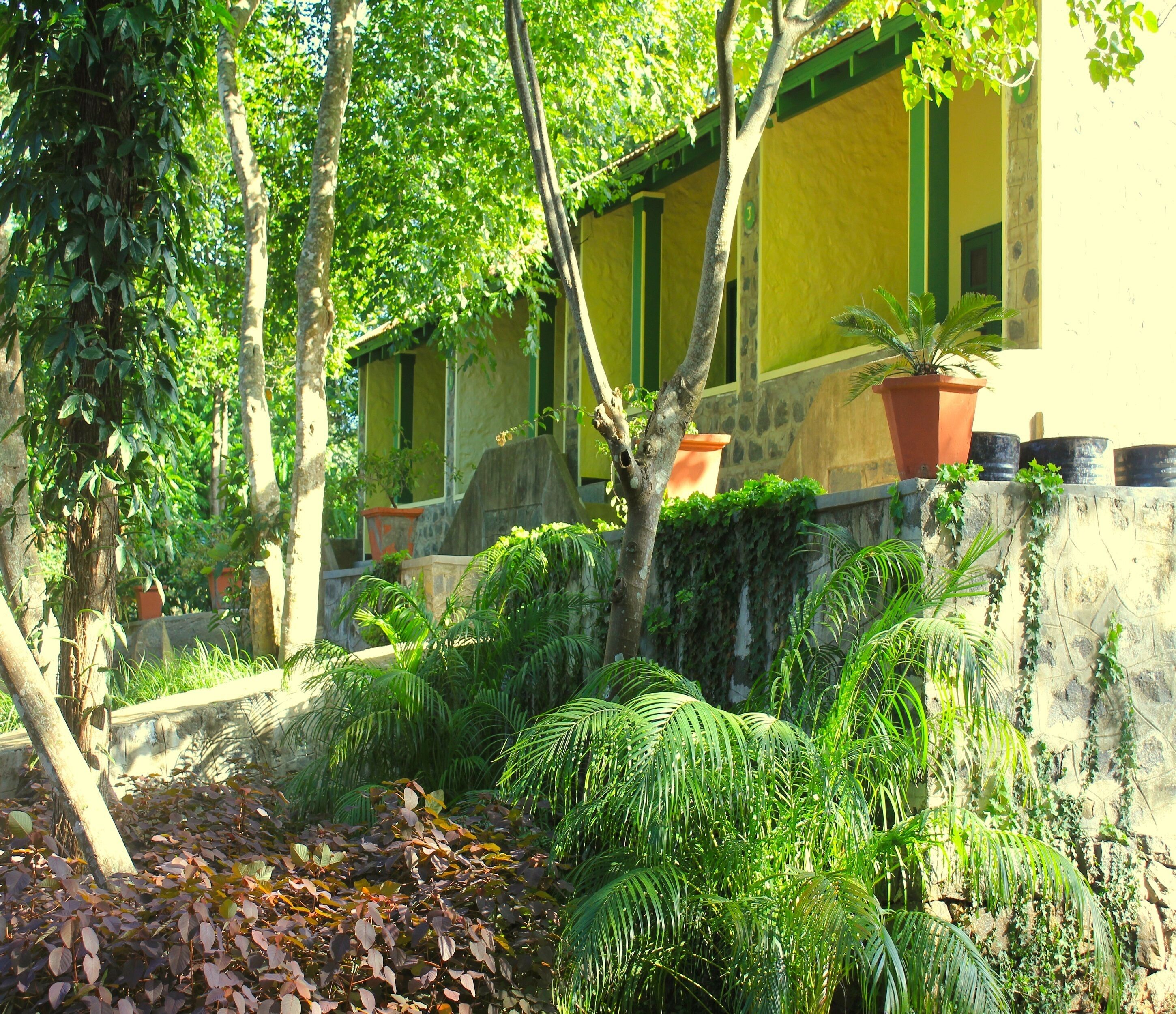A courtyard with a yellow building, potted plants, and a stone wall.