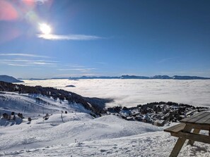 Lumi- ja hiihtourheilulajit