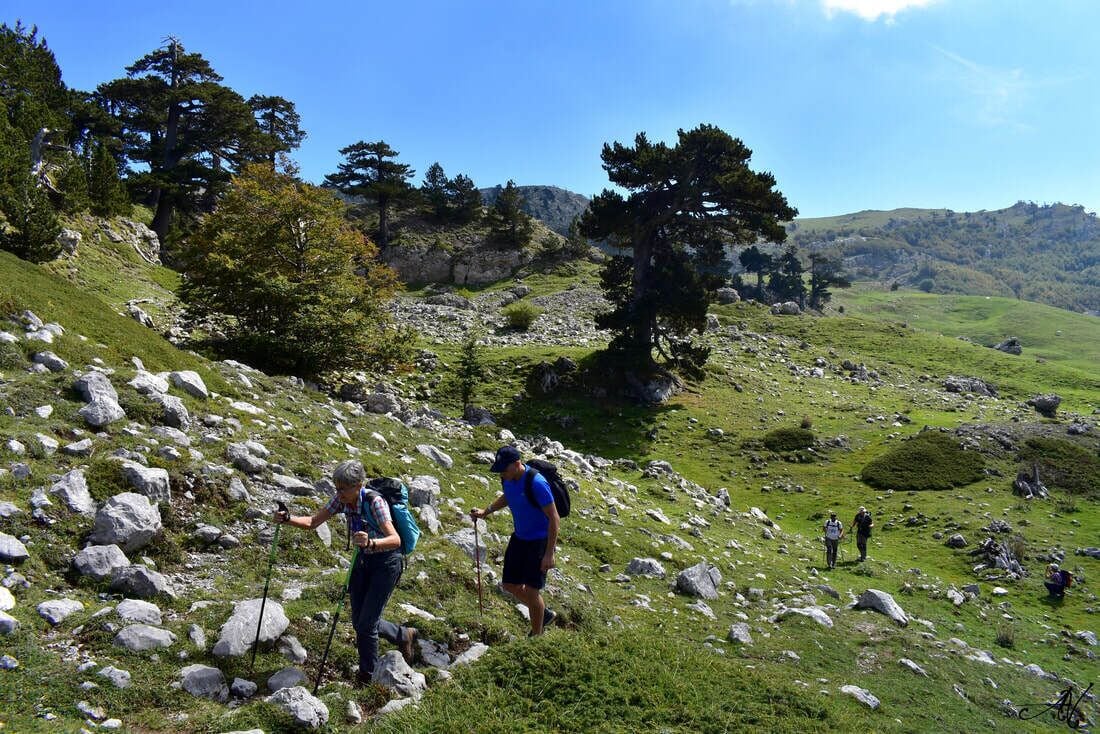 Un escursionista con zaino e bastone da passeggio su un pendio erboso, con rocce e alberi.