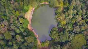 Eine Luftaufnahme eines bewaldeten Gebiets mit einem kreisförmigen Teich, einem schmalen Pfad und einem kleinen Steg.