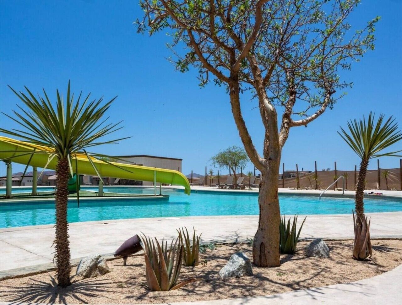 A pool area with a clear blue sky, a palm tree, and a green canopy.