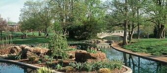 Explore Downtown from Mt Adams | Patio River Views