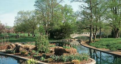 Explore Downtown from Mt Adams | Patio River Views