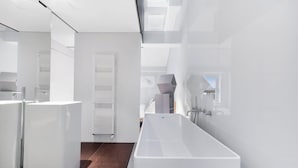 Een moderne badkamer met een ruime badkuip, toilet en douche.