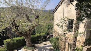 Un patio de piedra con mobiliario exterior, un árbol grande y un edificio de aspecto rústico.