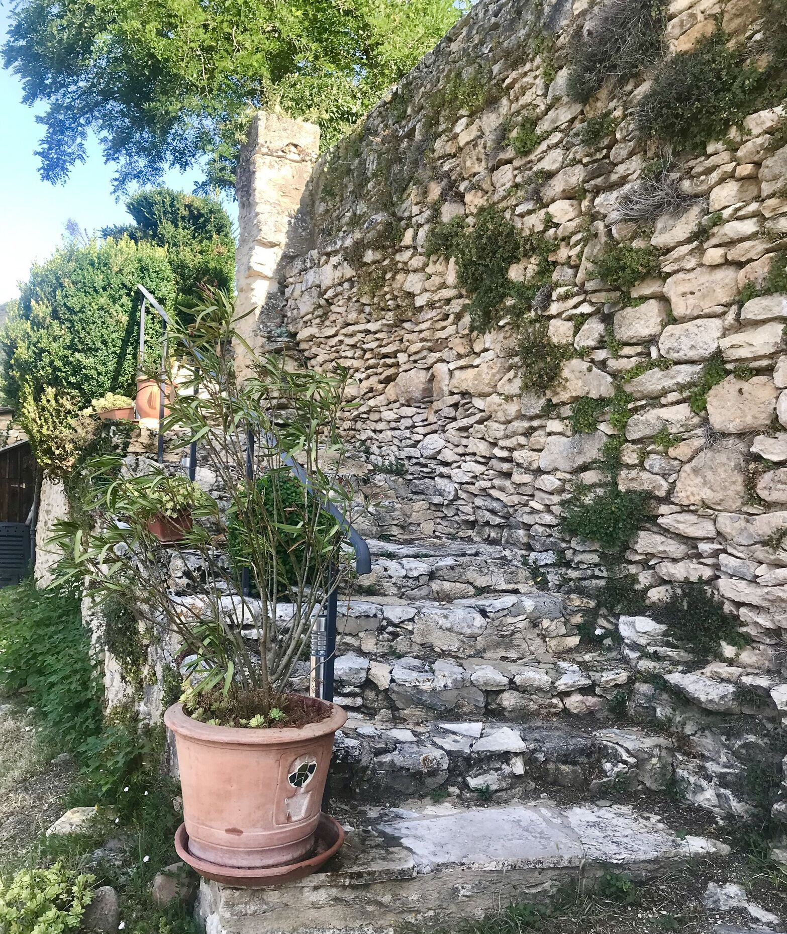 Un mur de pierres avec un pot de fleurs en premier plan.