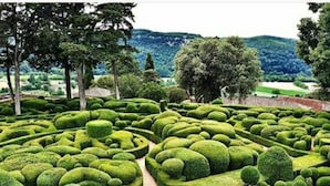 Un jardín meticulosamente cuidado con setos geométricos y diversas formas de árboles.