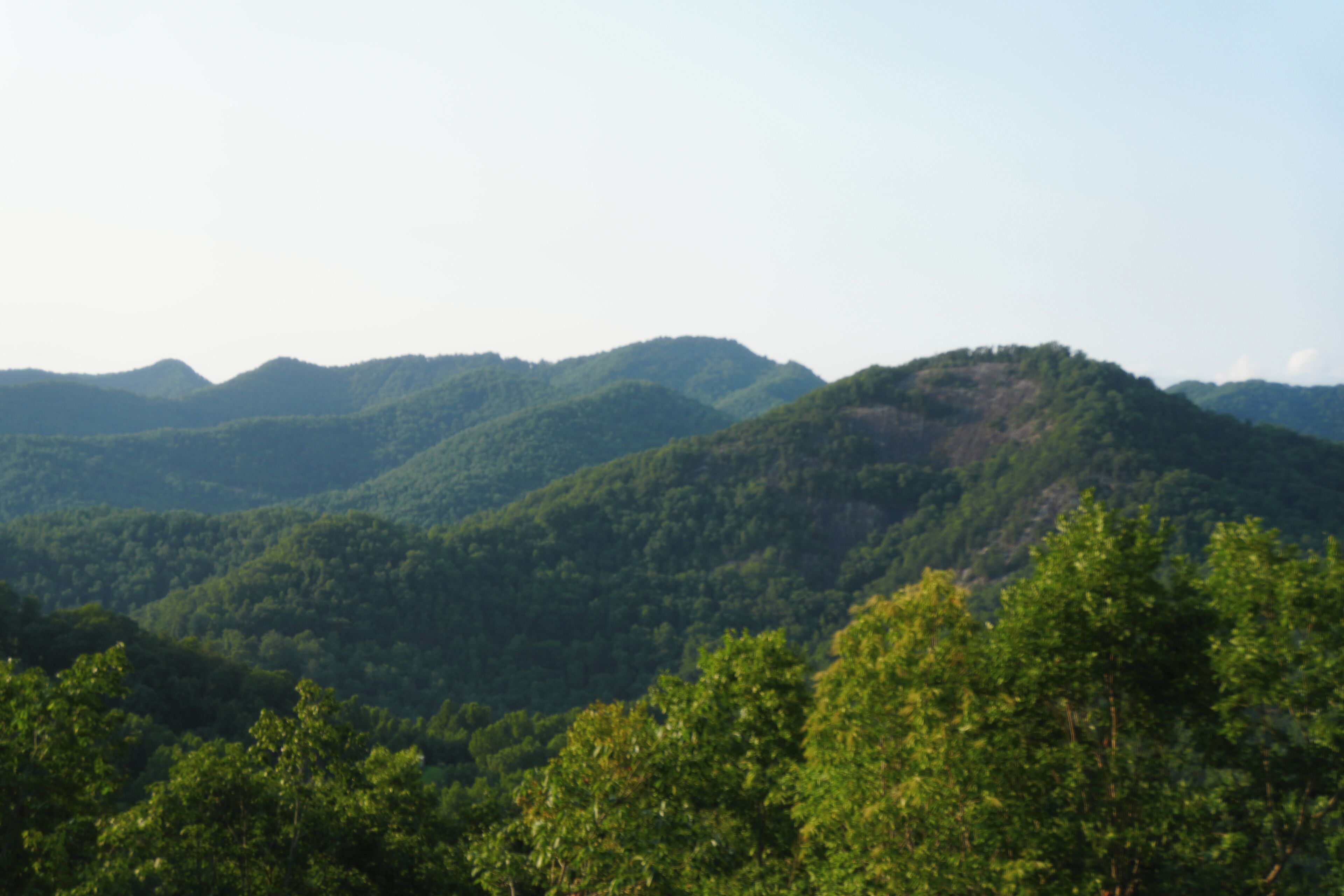Eine gebirgige Landschaft mit dichtem Wald.