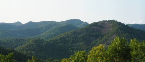 Eine gebirgige Landschaft mit dichtem Wald.