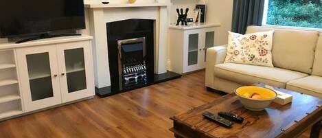 Smart TV, fireplace, DVD player, books