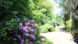Un sendero en un jardín con flores moradas en flor y abundante follaje.