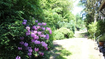 Terrein van de accommodatie