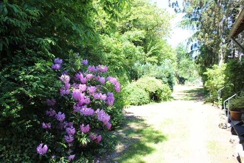 Gemütliche Ferienunterkunft für bis 14 Personen in der Vulkaneifel