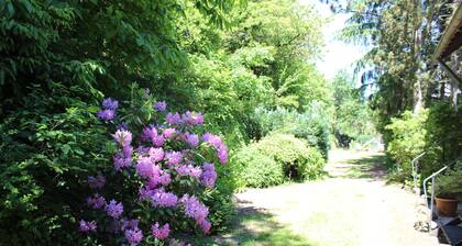 Gemütliche Ferienunterkunft für bis 14 Personen in der Vulkaneifel