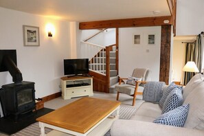 Fernseher, Kamin, DVD-Player