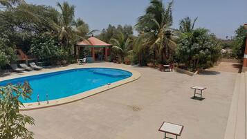 Relax by the serene pool surrounded by lush greenery and palm trees, with a shaded seating area and comfortable chairs.