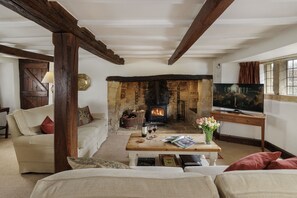 TV, fireplace, DVD player