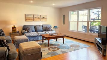 TV, fireplace, video games, books