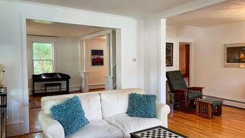 TV, fireplace, video games, books