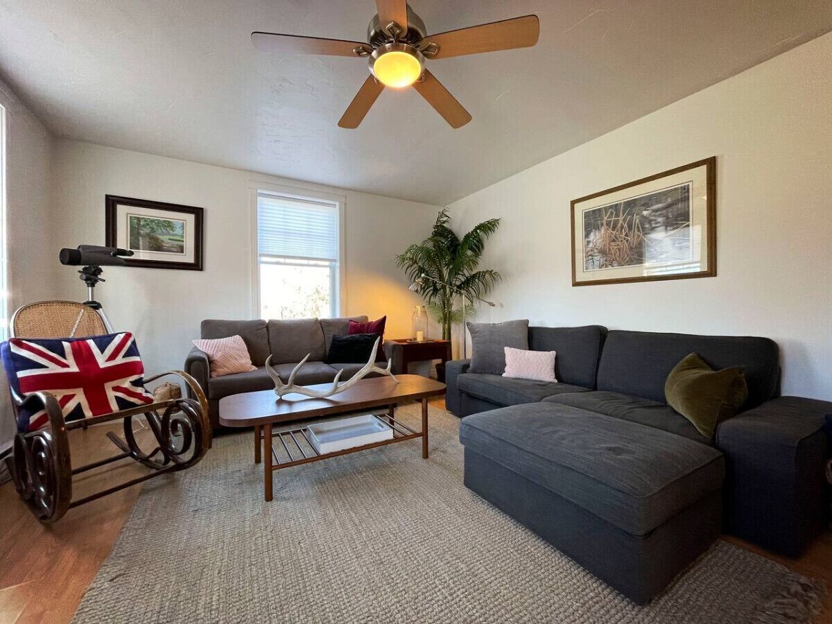 Télévision, chaîne hi-fi