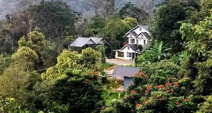 Misty Bush Munnar - Deluxe Double Room