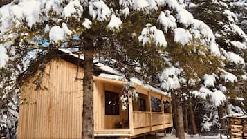 Ulkopuoli