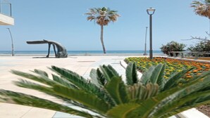 A coastal promenade with a palm tree, a sculptural bench, and a flower bed.