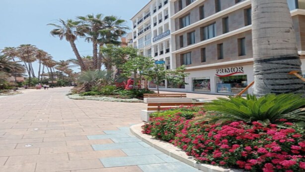 A hotel with a modern facade, palm trees, and a paved walkway.
