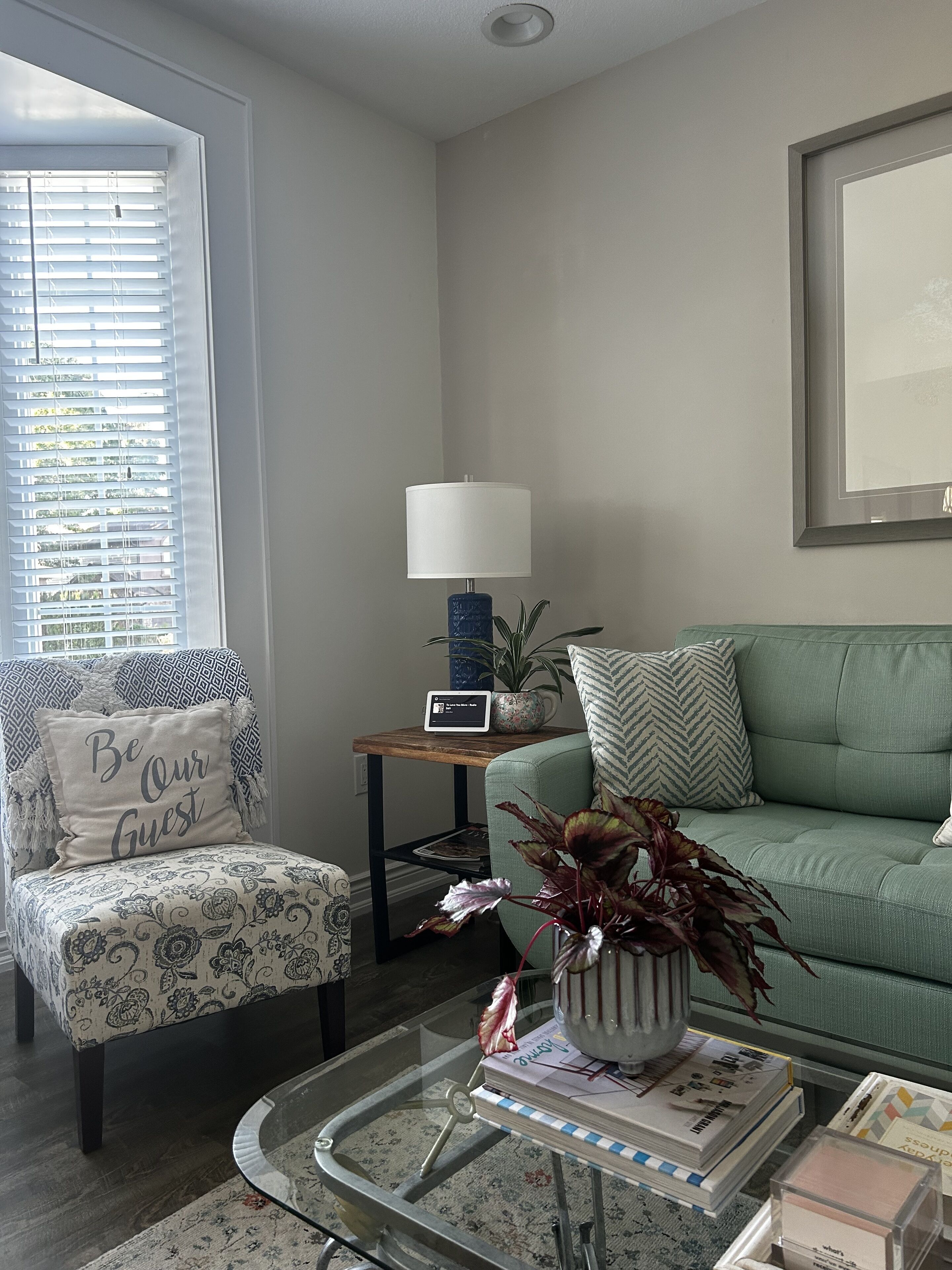 A living room with a patterned armchair, a green sofa, a coffee table with books, a lamp, and a potted plant.