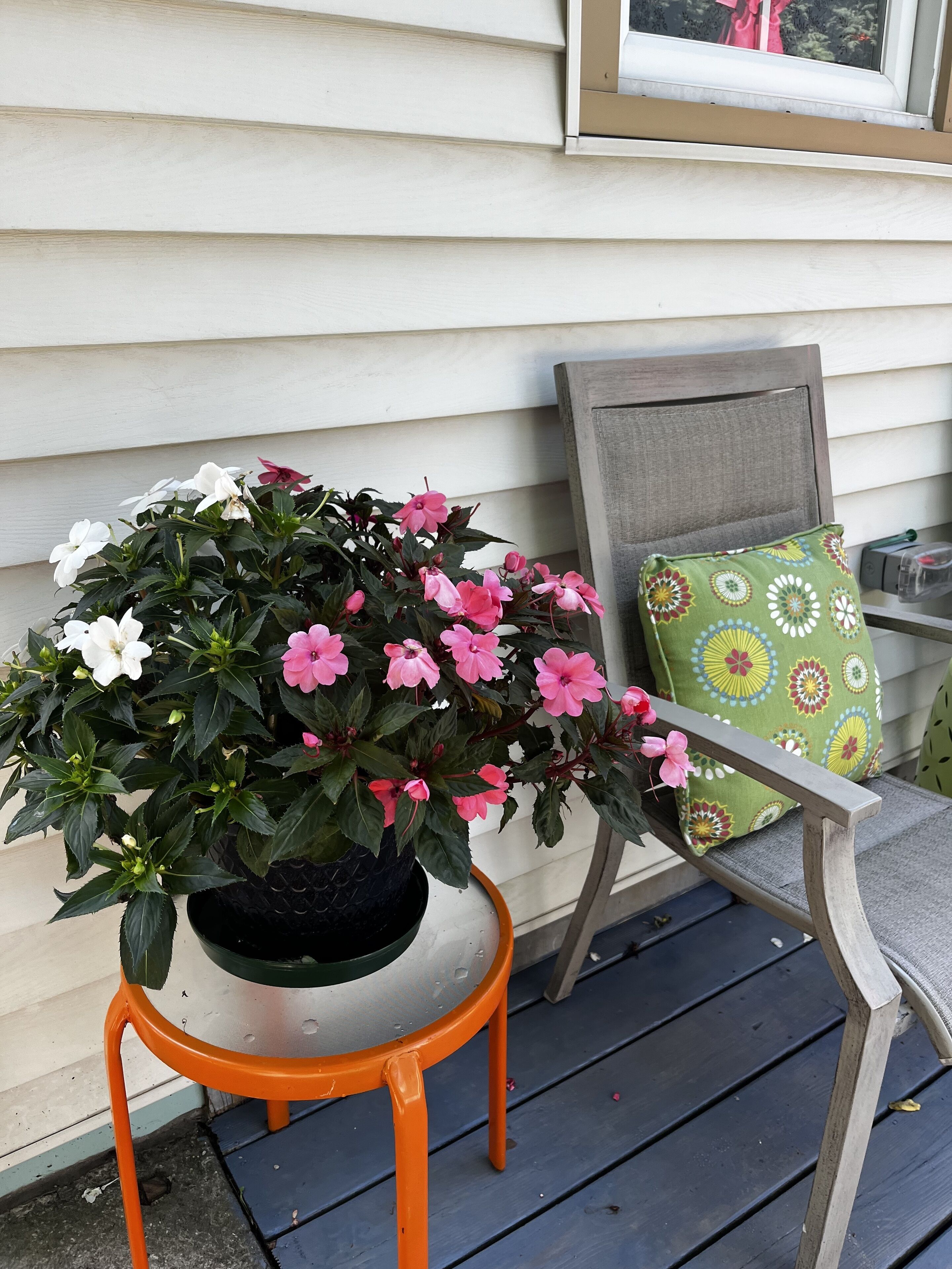 A potted plant with pink and white flowers on a wooden chair with a cushion.