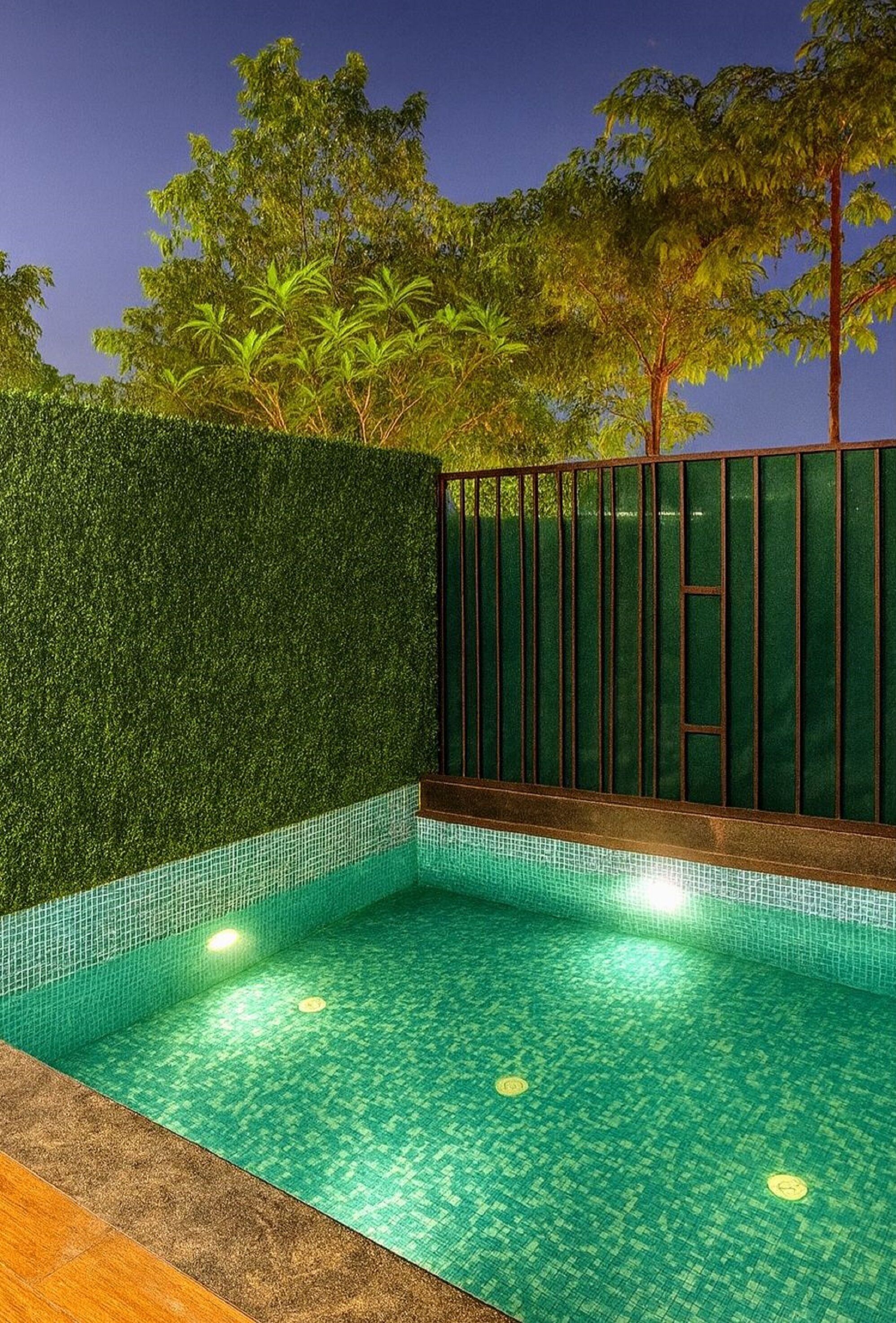 Suite Premium, piscina privada, vistas a la piscina | Piscina privada