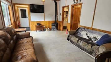 Smart-TV, Kamin