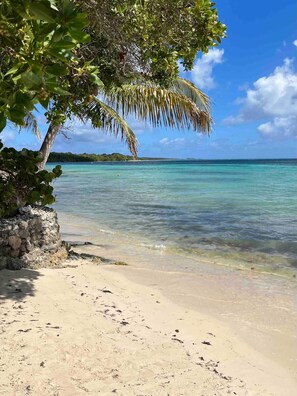 A beach with clear turquoise water, a palm tree, and a stone wall.