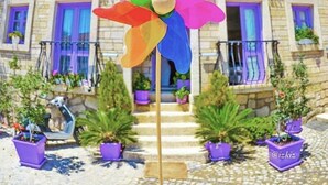 Un edificio con fachada curva, varios balcones con barandillas moradas y plantas en macetas alrededor de la entrada.