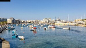 A marina with numerous boats docked, a clear sky, and a cityscape in the background.