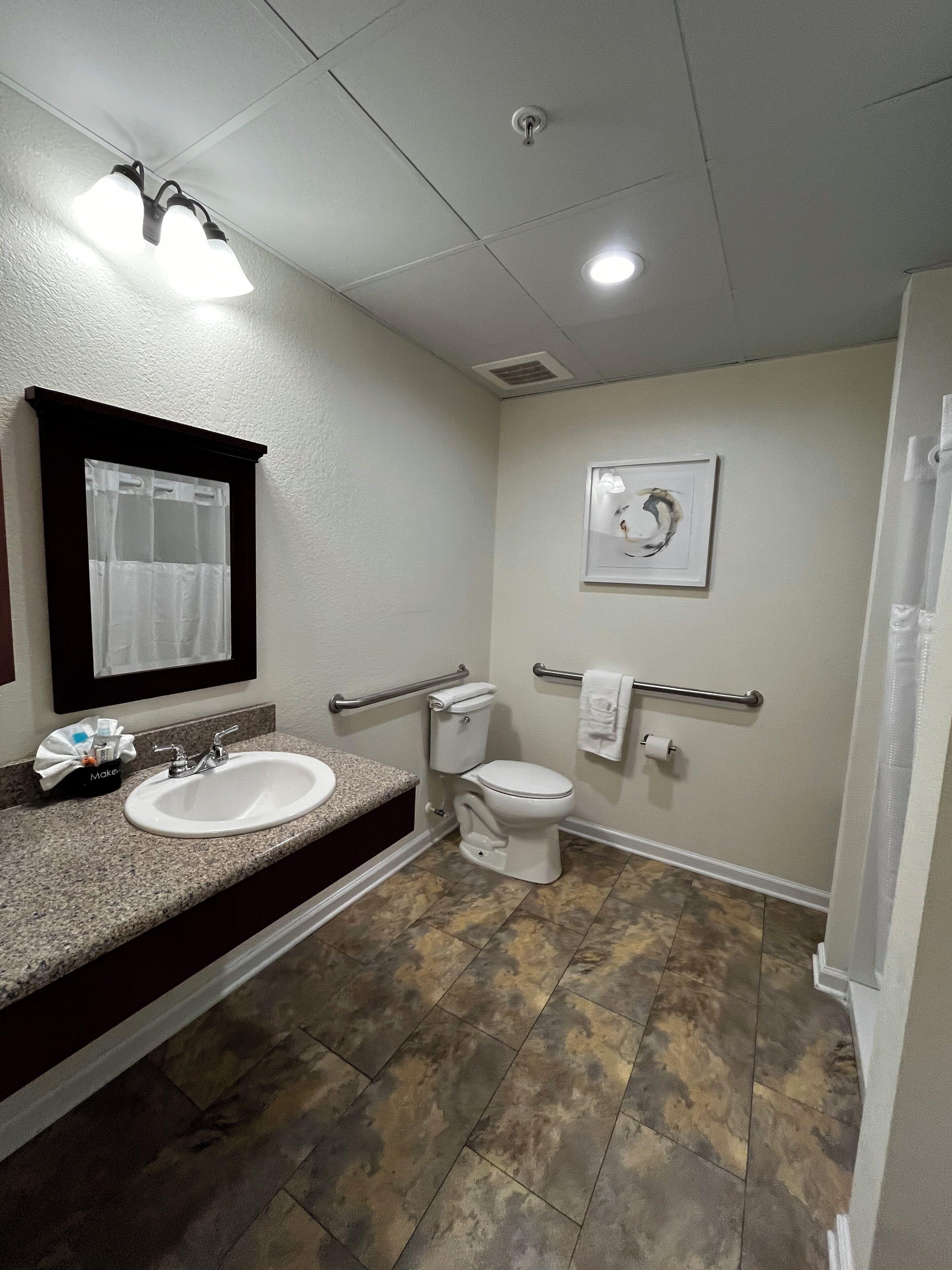 A bathroom with a sink, toilet, and handrails.