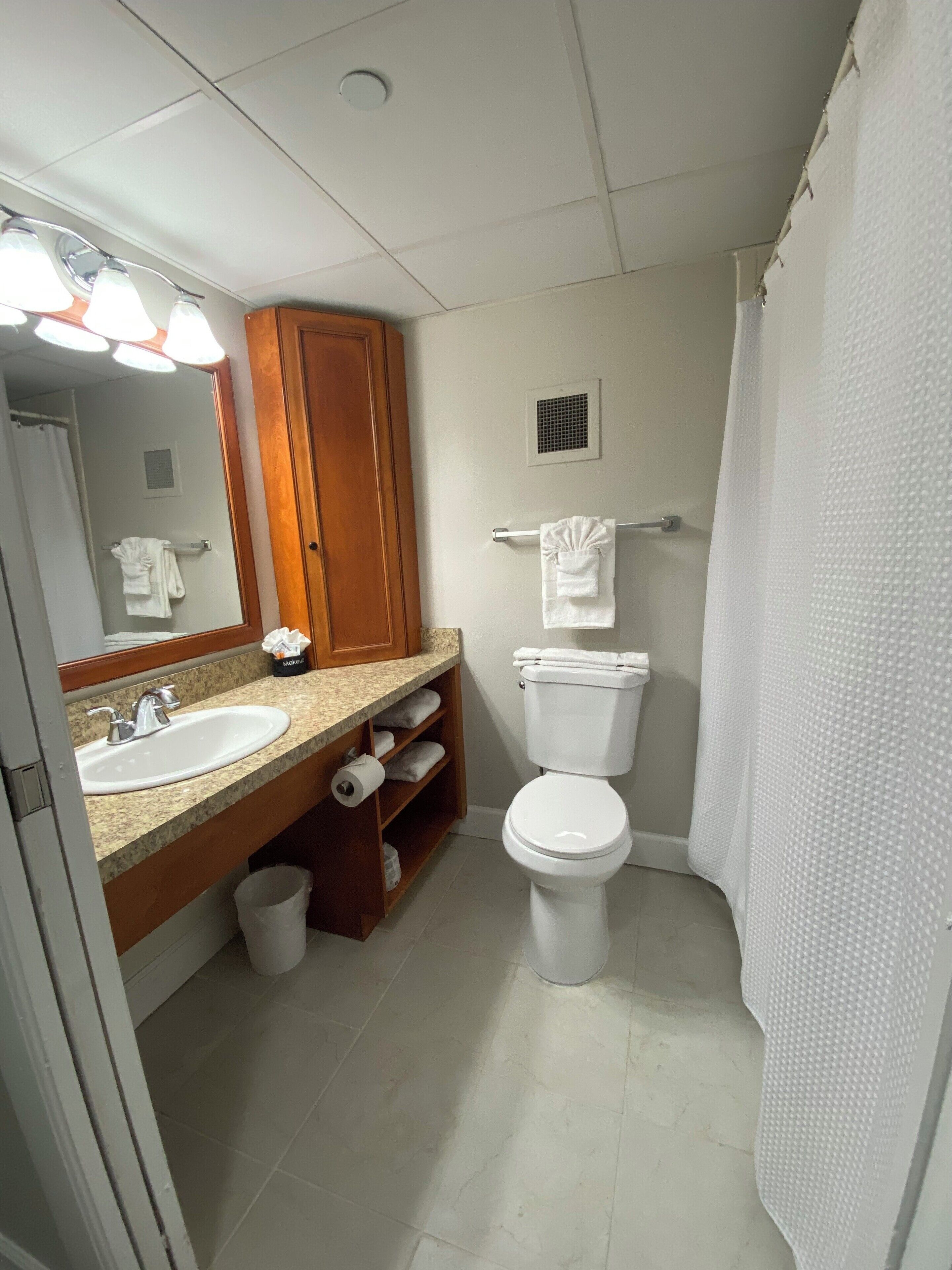 Articles de toilette gratuits, sèche-cheveux