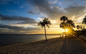 A beach with palm trees and the sun setting over the water.