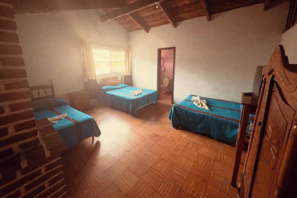 City kamer | 1 slaapkamer, luxe beddengoed, donzen dekbedden, individueel gedecoreerd