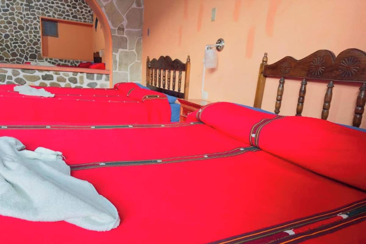 Eenvoudige kamer | 1 slaapkamer, luxe beddengoed, donzen dekbedden, individueel gedecoreerd